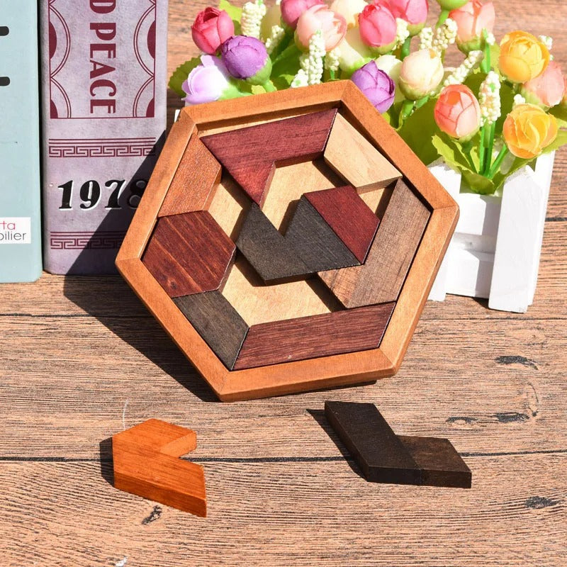 Hexagonal Wooden Puzzles IQ Game For Children Kids